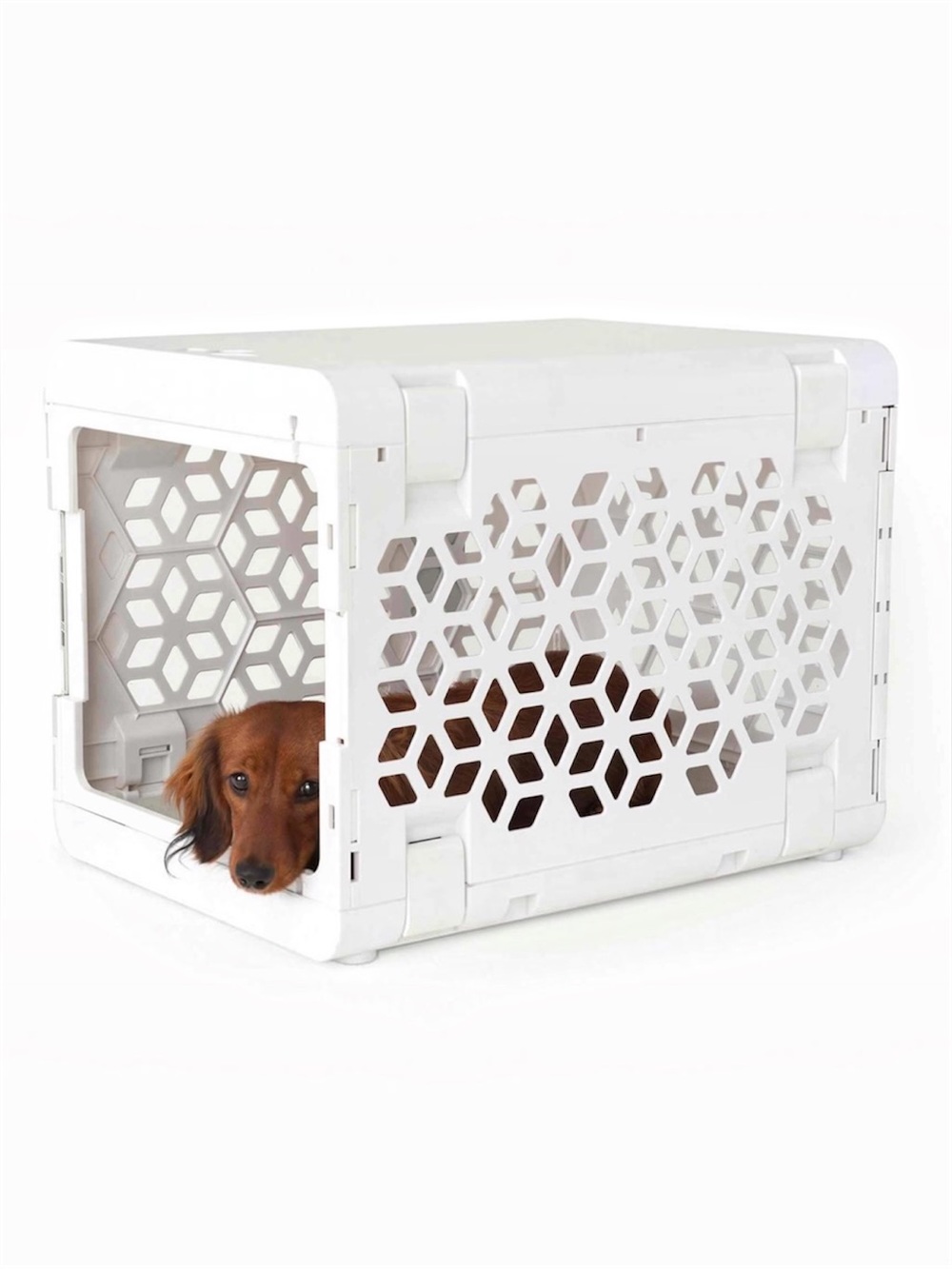 NEW - KindTail PAWD Dog and Cat Crate Carrier - Small White Collapsible - READ